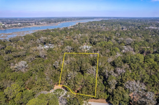 birds eye view of property with a water view and a forest view