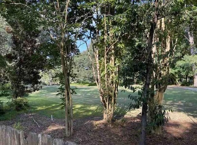 104 Legend Oaks Way, Summerville, SC 29485 - view of local wilderness