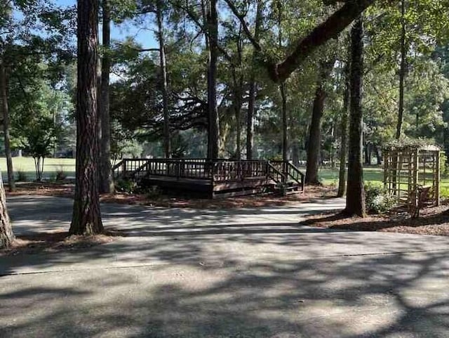 104 Legend Oaks Way, Summerville, SC 29485 - view of road