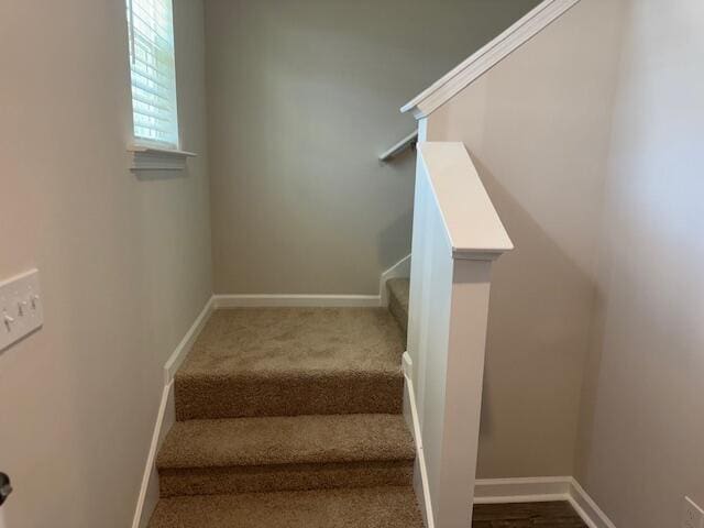 stairway featuring carpet flooring