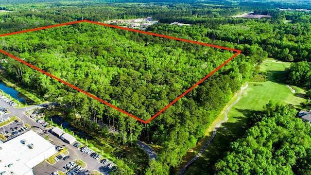 TBD Lost Oaks Dr, Bluffton SC, 29910 land for sale