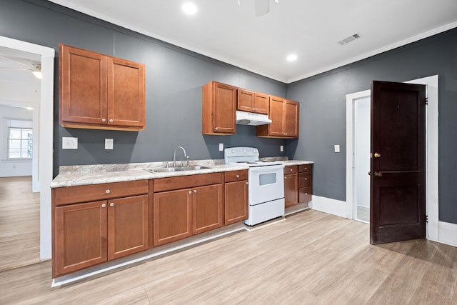 kitchen featuring ornamental molding, sink, electric range, and light hardwood / wood-style floors