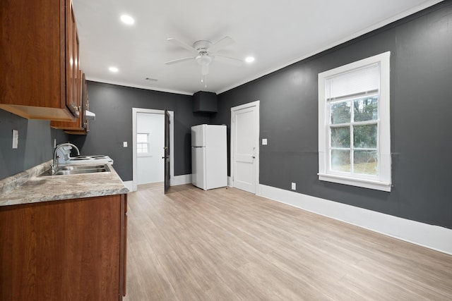 kitchen featuring sink, crown molding, light wood-type flooring, white fridge, and ceiling fan