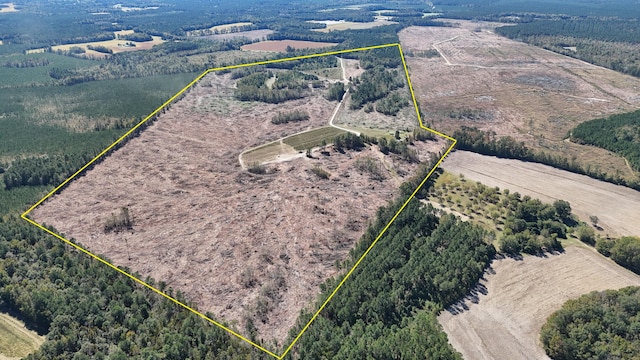 Listing photo 2 for TBD Hamilton Rd, Manning SC 29102