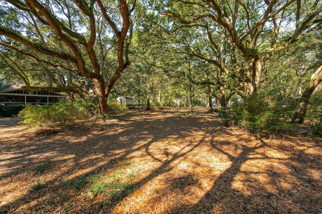 810 Creekside Dr, Mount Pleasant, SC 29464 - view of yard with a storage unit and an outbuilding