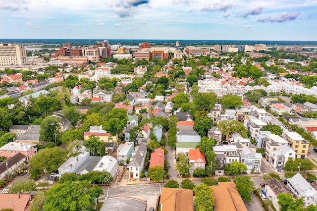 bird's eye view