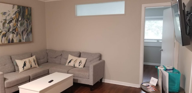 living room featuring dark hardwood / wood-style flooring