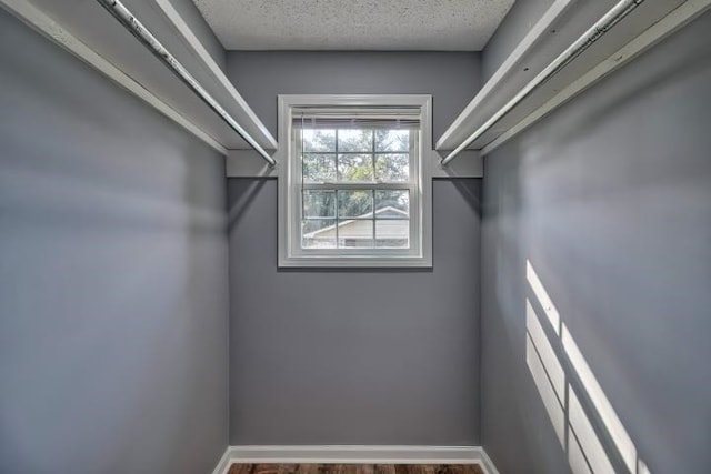 spacious closet featuring hardwood / wood-style floors