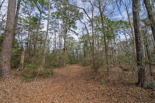 view of local wilderness featuring a wooded view