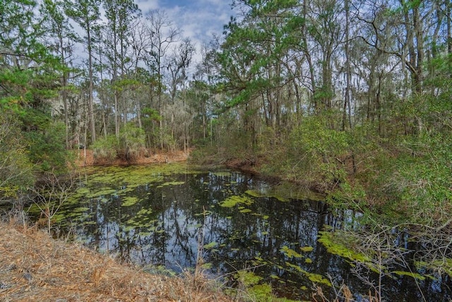 property view of water featuring a forest view