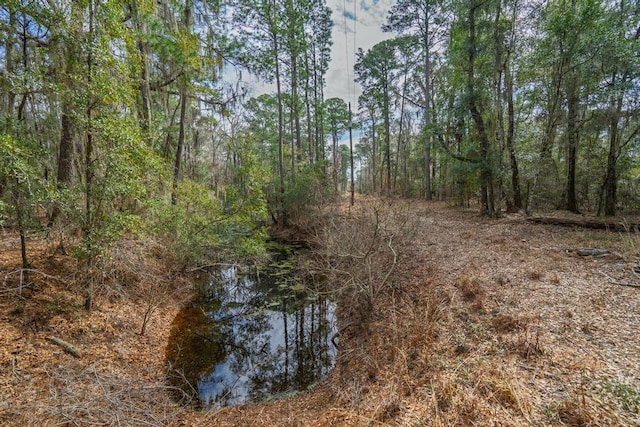 view of nature with a forest view