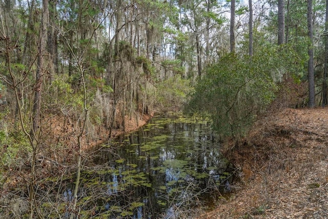 view of water feature with a forest view