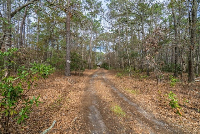 view of street featuring a view of trees