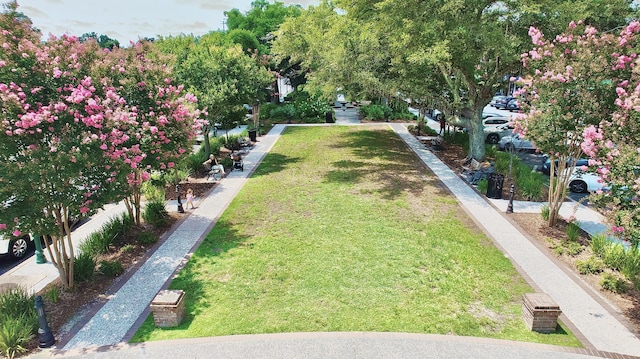 1130 Plantation Overlook Dr, Moncks Corner, SC 29461 - view of yard