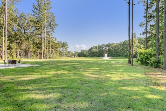 1130 Plantation Overlook Dr, Moncks Corner, SC 29461 - view of green lawn