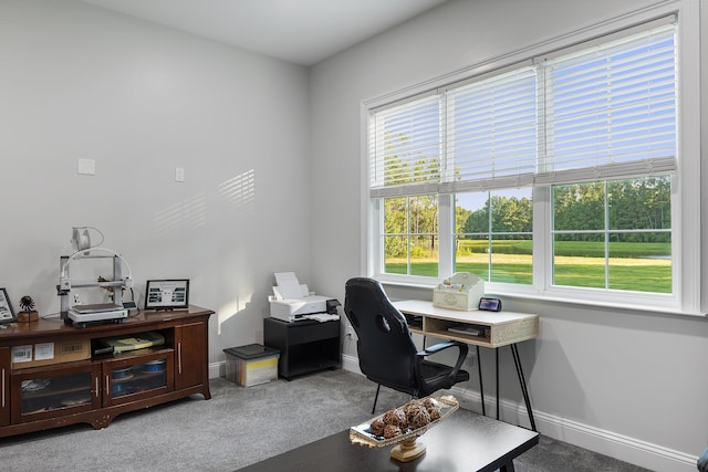 1130 Plantation Overlook Dr, Moncks Corner, SC 29461 - office space featuring healthy amount of natural light and carpet floors