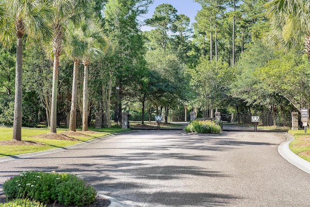 1130 Plantation Overlook Dr, Moncks Corner, SC 29461 - view of asphalt road with a gate, a gated entry, and curbs