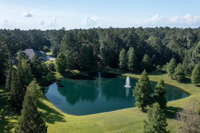 1130 Plantation Overlook Dr, Moncks Corner, SC 29461 - aerial view of a large body of water and a heavily wooded area