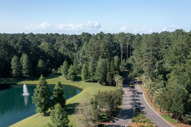1130 Plantation Overlook Dr, Moncks Corner, SC 29461 - drone / aerial view of a large body of water and a heavily wooded area