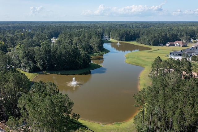 1130 Plantation Overlook Dr, Moncks Corner, SC 29461 - aerial view of property's location featuring a heavily wooded area and a large body of water