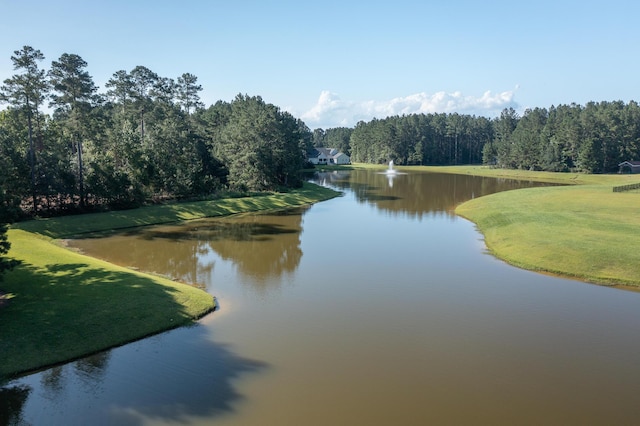 1130 Plantation Overlook Dr, Moncks Corner, SC 29461 - water view with a forest