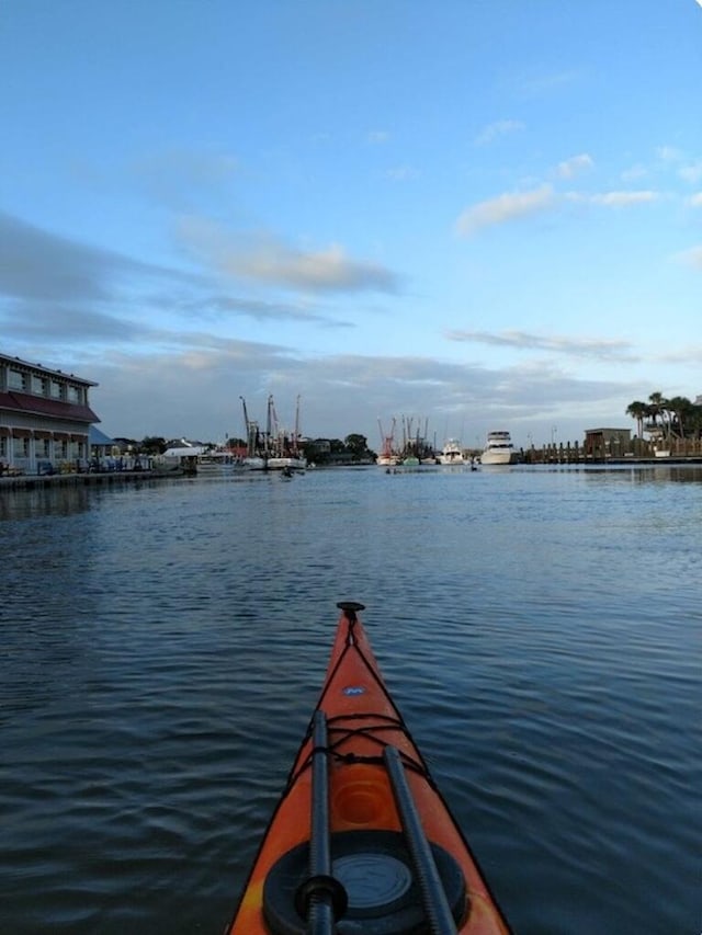 dock area with a water view