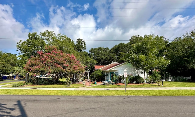 view of front of house with a front yard