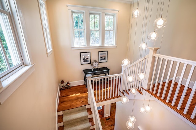 staircase with wood-type flooring