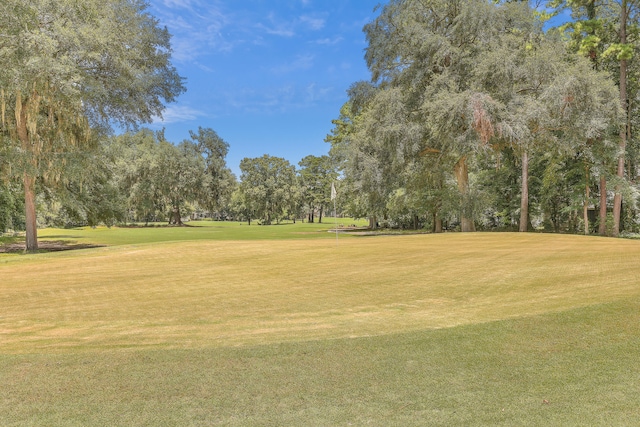 view of home's community with a lawn