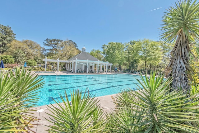 view of swimming pool featuring a pergola