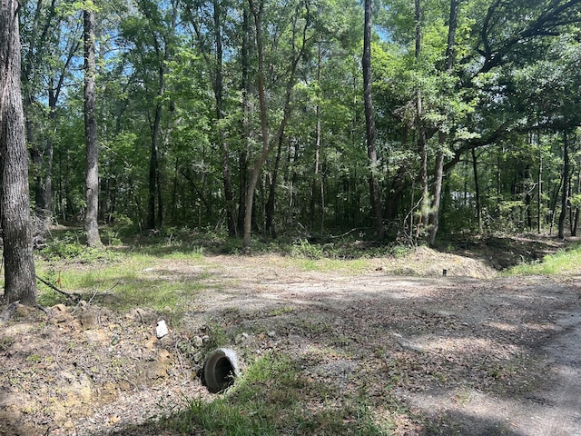 0 Sabb Dr, Ridgeville, SC 29472