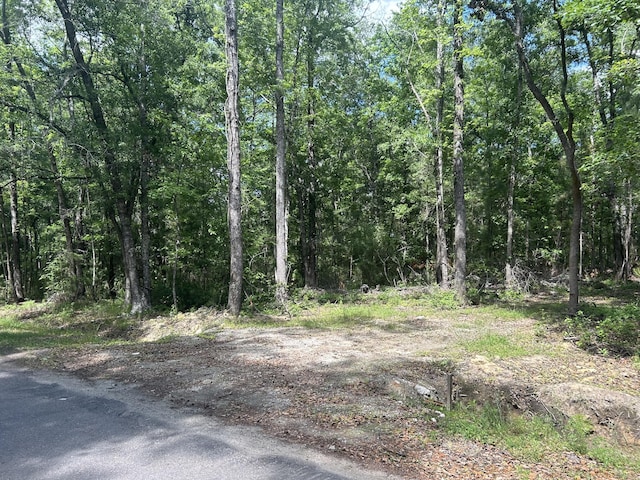 0 Sabb Dr, Ridgeville, SC 29472