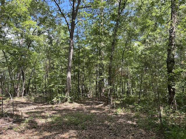 0 Sabb Dr, Ridgeville, SC 29472