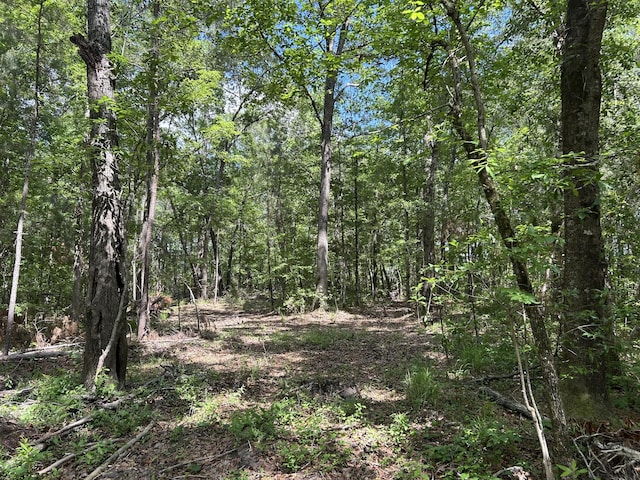 0 Sabb Dr, Ridgeville, SC 29472