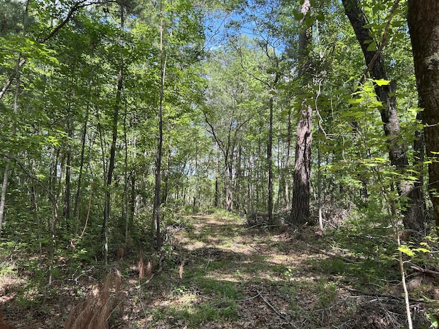 0 Sabb Dr, Ridgeville, SC 29472