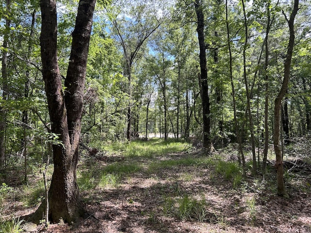 0 Sabb Dr, Ridgeville, SC 29472