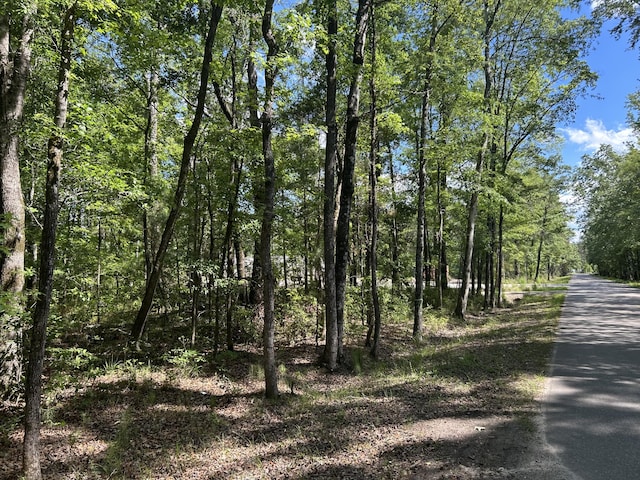 0 Sabb Dr, Ridgeville, SC 29472