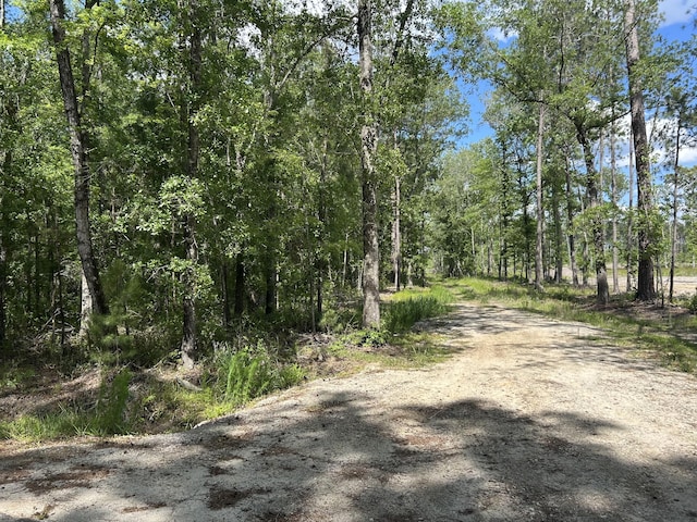 0 Sabb Dr, Ridgeville, SC 29472