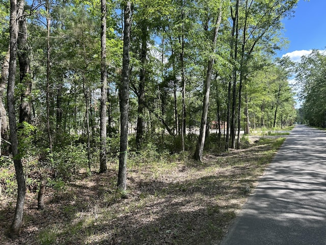 0 Sabb Dr, Ridgeville, SC 29472