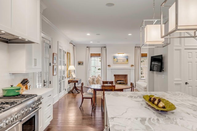 kitchen with tasteful backsplash, light stone counters, ornamental molding, dark hardwood / wood-style floors, and white cabinetry