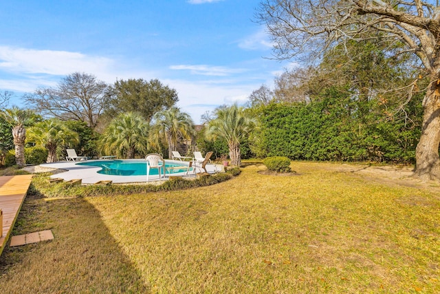 view of yard with a patio and an outdoor pool