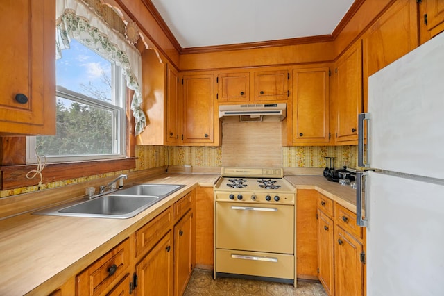 kitchen featuring white appliances, under cabinet range hood, light countertops, and a sink