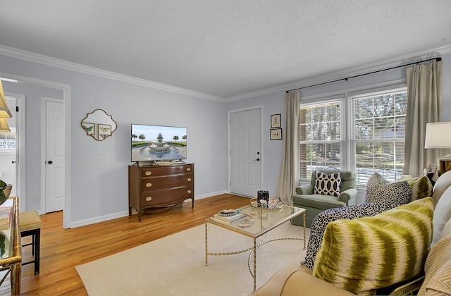 living room featuring crown molding, a textured ceiling, baseboards, and wood finished floors