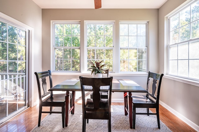 dining area featuring light hardwood / wood-style floors and a healthy amount of sunlight