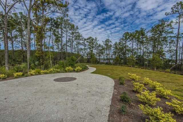 2282 Braided Ln, Mount Pleasant, SC 29466 - view of home's community featuring a lawn