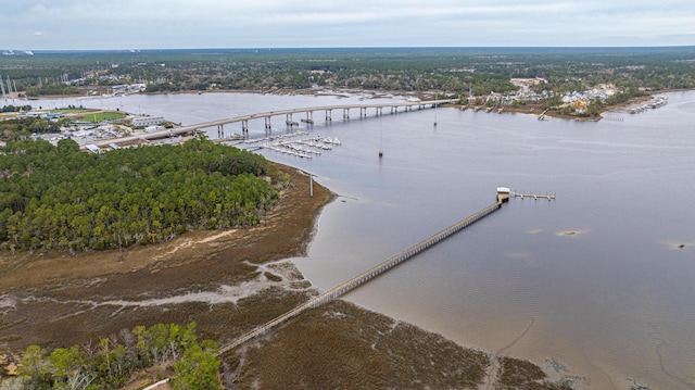 2282 Braided Ln, Mount Pleasant, SC 29466 - birds eye view of property with a water view