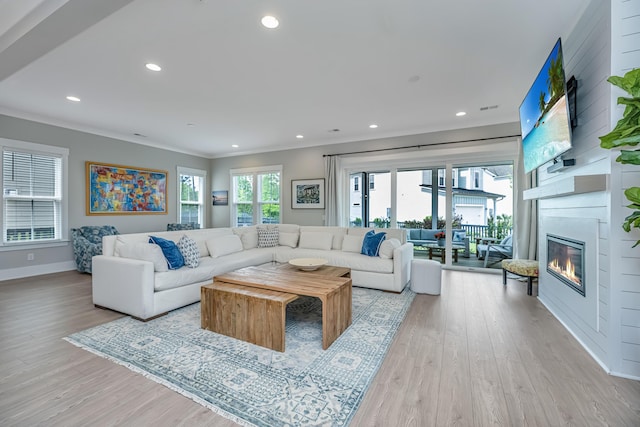 2282 Braided Ln, Mount Pleasant, SC 29466 - living area featuring baseboards, light wood-style floors, a large fireplace, and ornamental molding