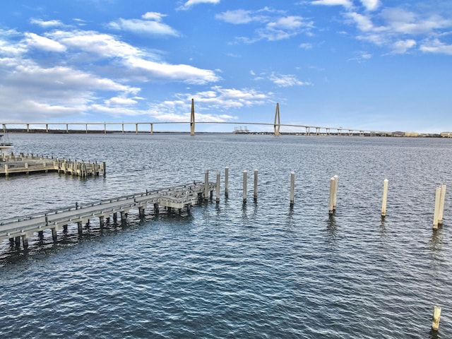 dock area with a water view