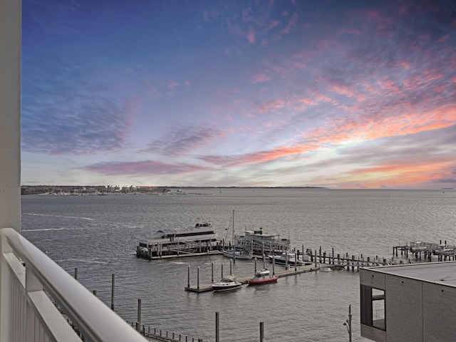 water view featuring a boat dock