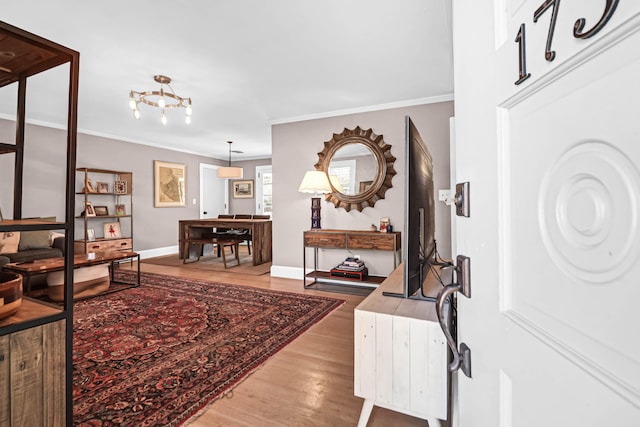 foyer featuring crown molding and hardwood / wood-style flooring